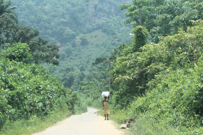 Heading Home From Farm - Picture of The Year 2013