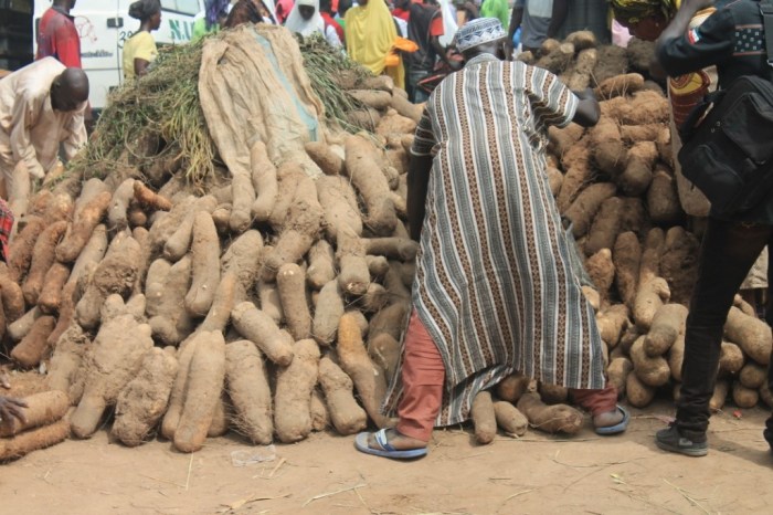African Yams