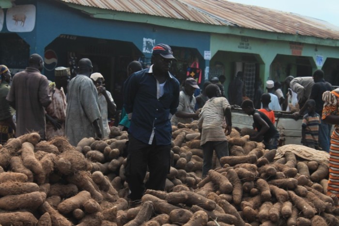 African Yams