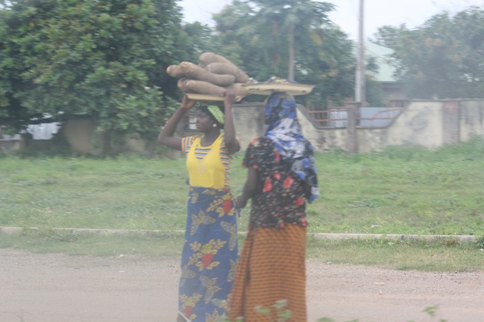 African Yams - Street Hawking