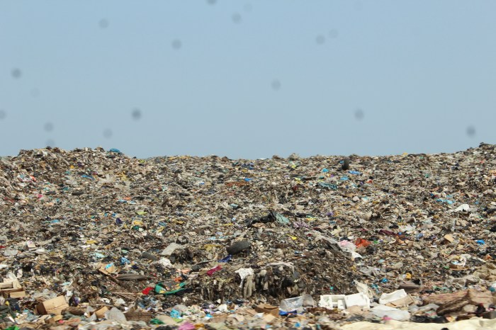 Garbage - Picture of The Week 01-31-14