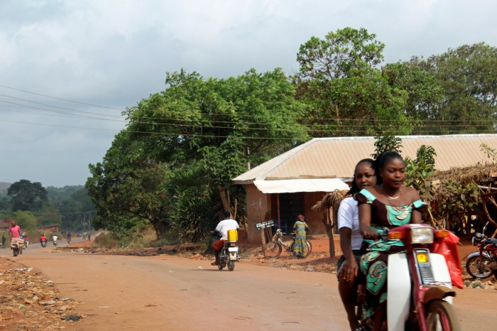 Picture of The Week 04/18/2014