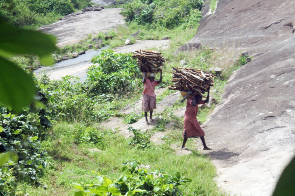 Fetching Firewood