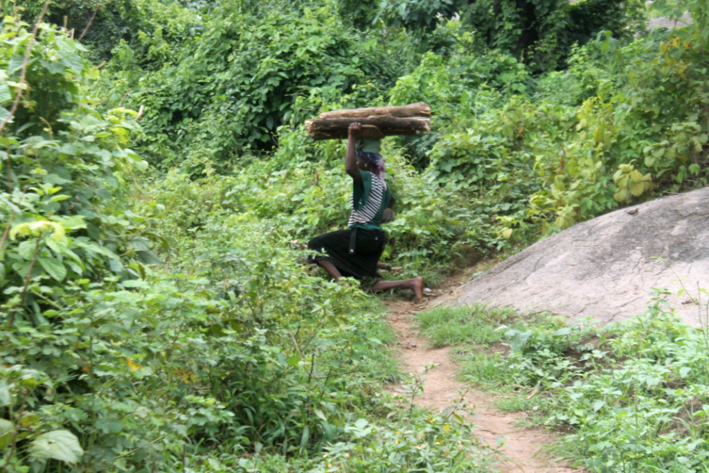 Fetching Firewood