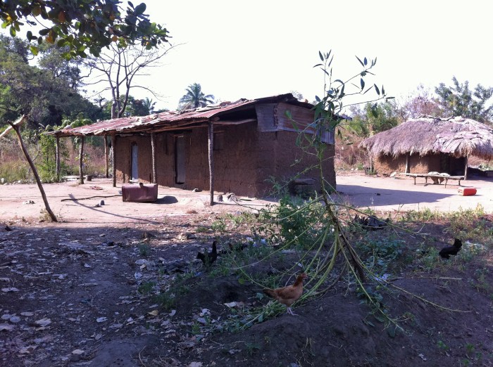 Igbira Village Scene