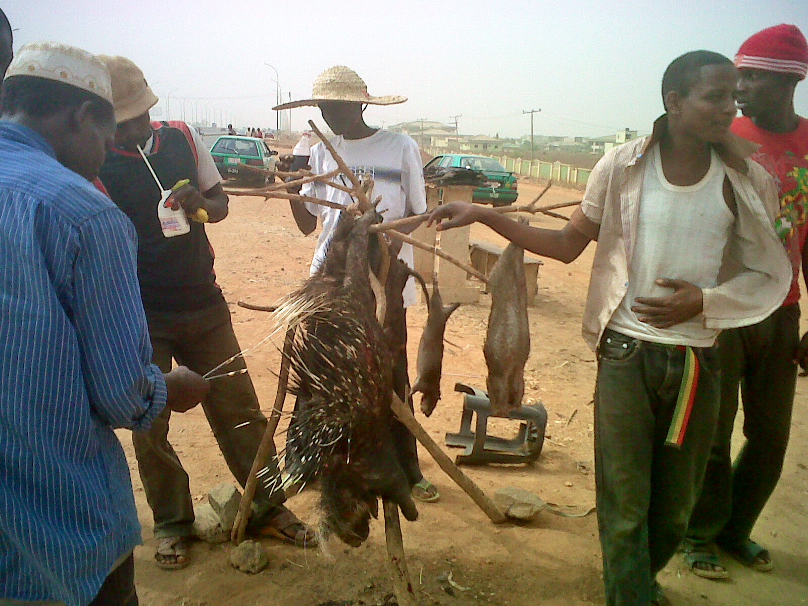 Bushmeat