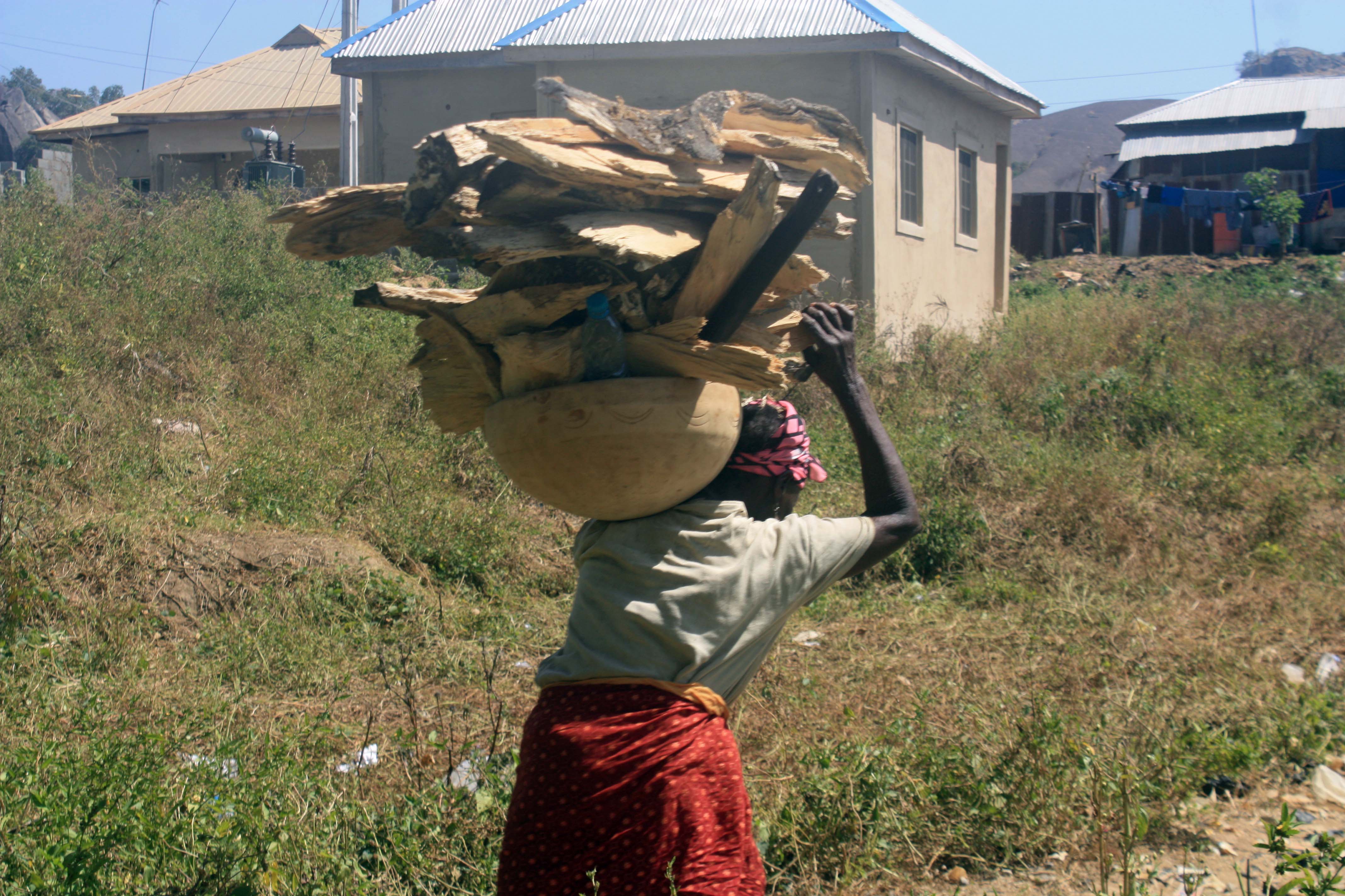 Picture of The Week 12-05-2014