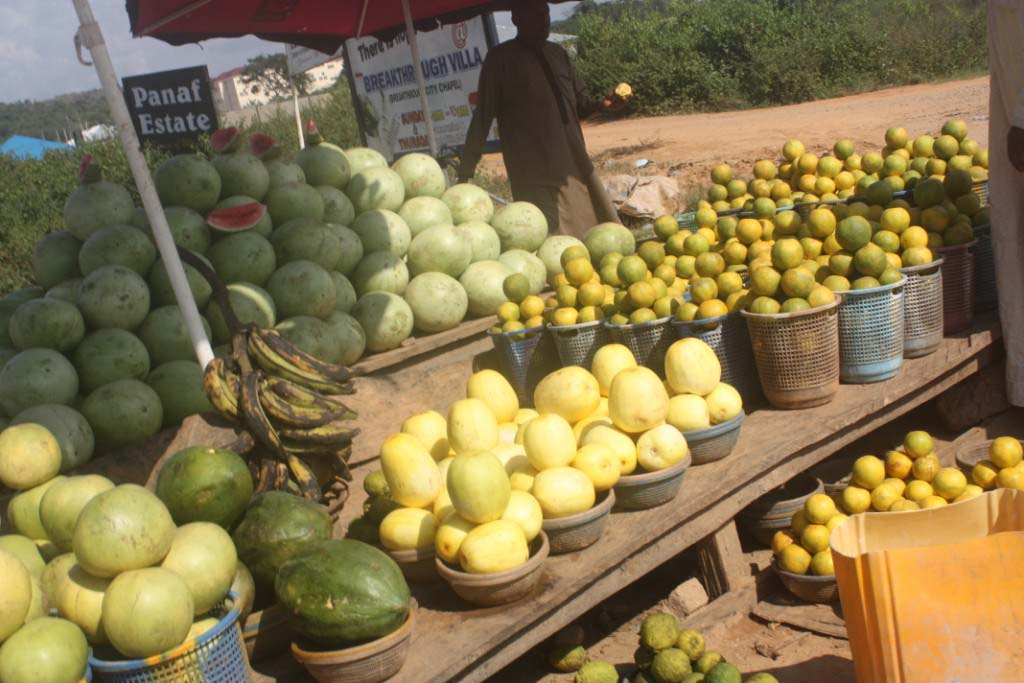Roadside Fruit Stand