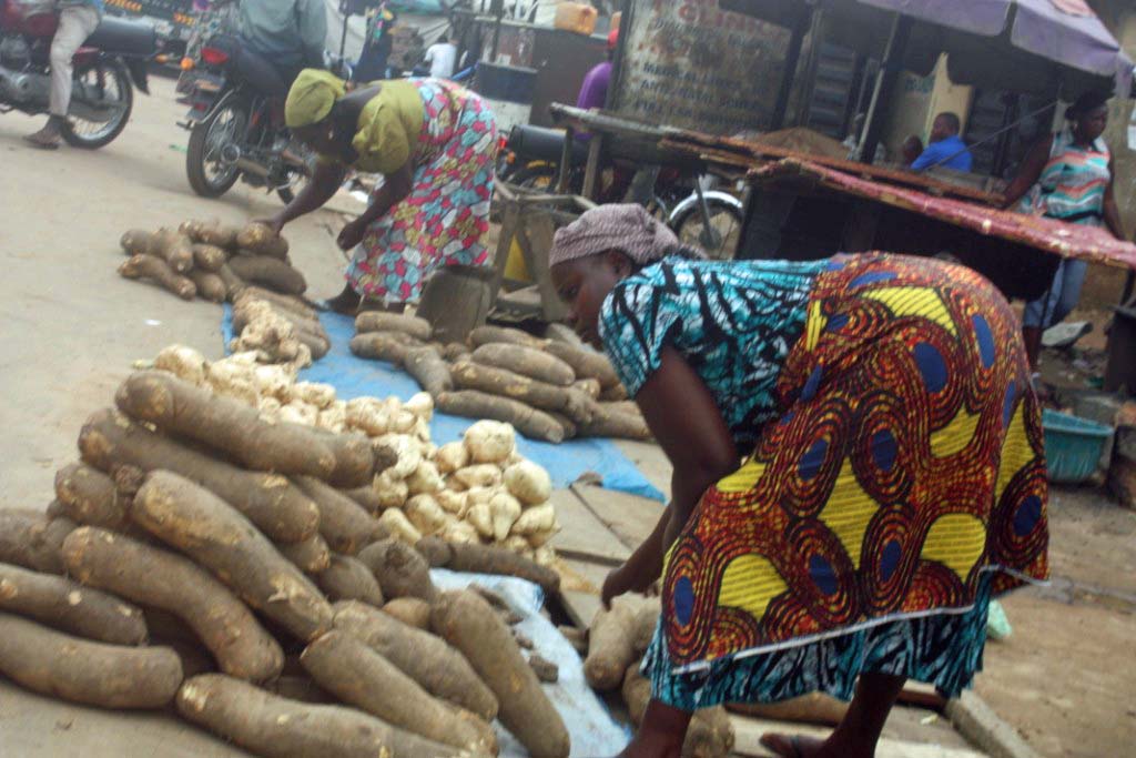 African Yams Tafa Kaduna