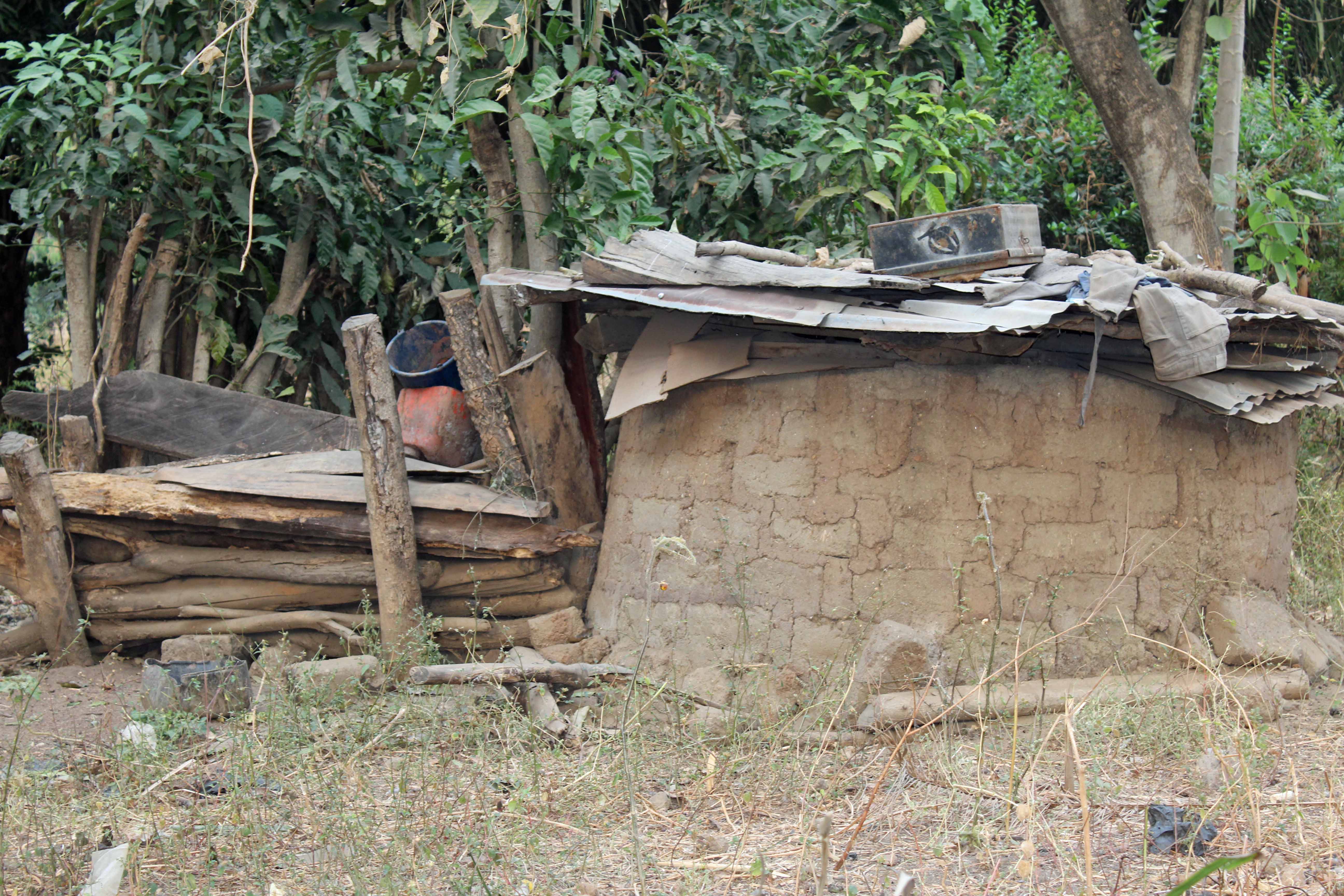 Pigsty - Langa Langa Village Nigeria