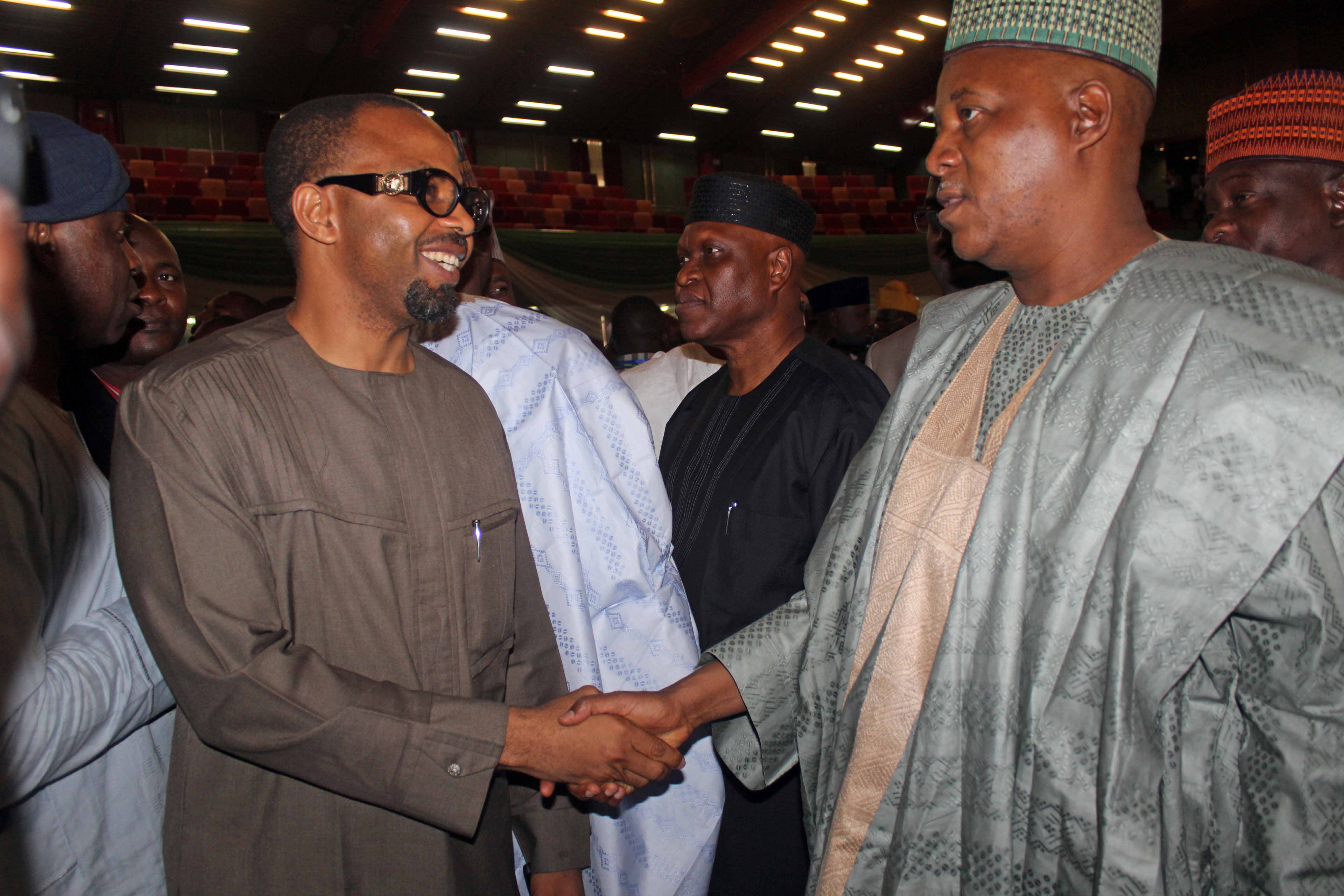 Governor Kashim Shettima