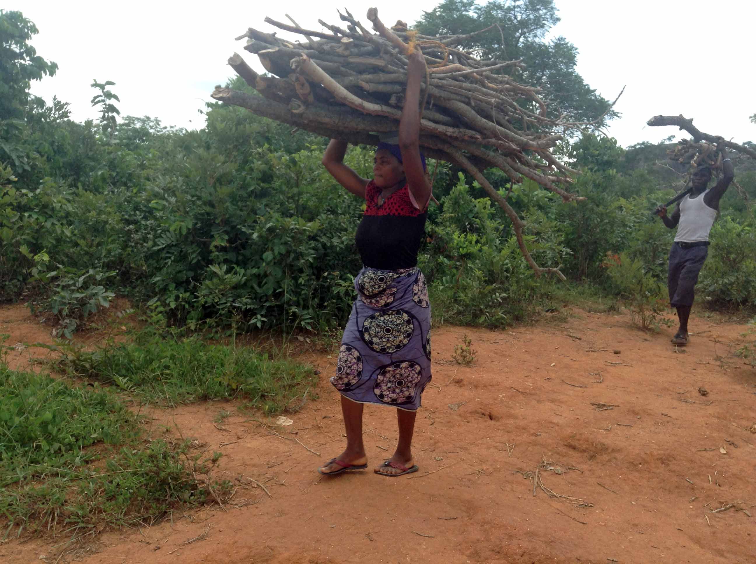 Gbagyi People Fetching Firewood