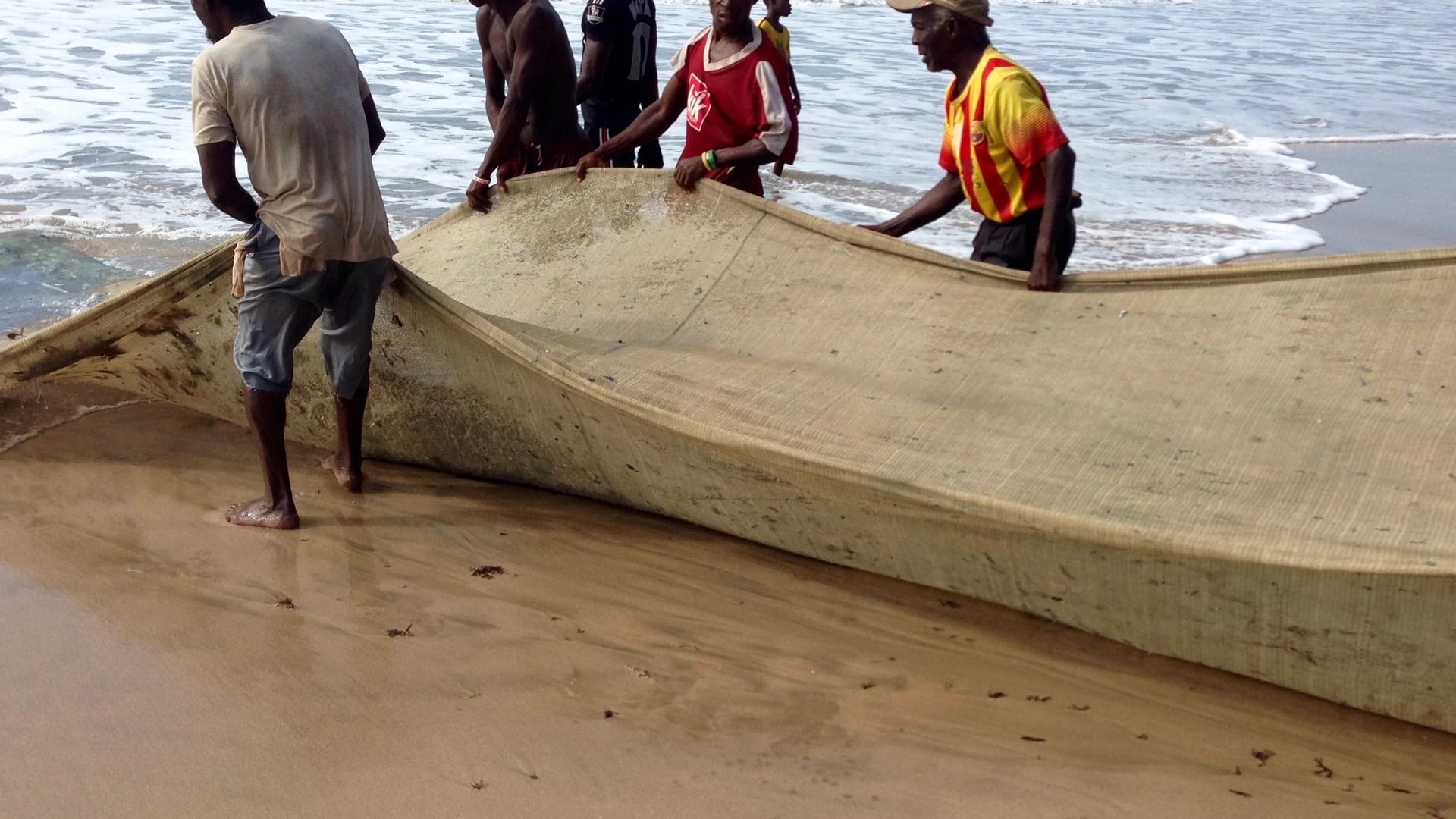 Seine Net Fishing in Kokrobite Ghana