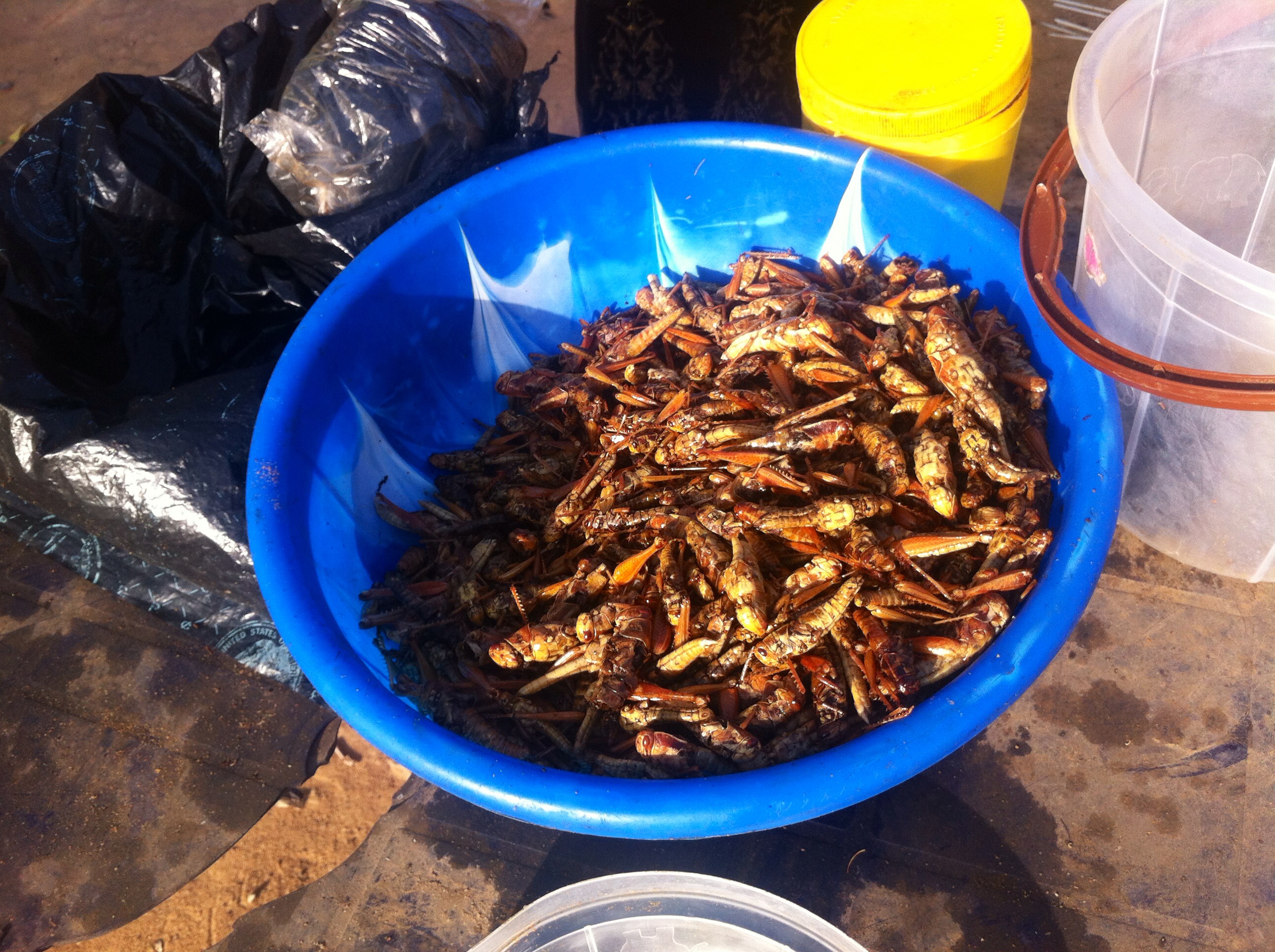 Grilled Grasshoppers