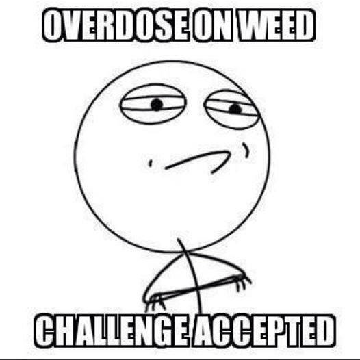 Cheech & Chong Weed Challenge
