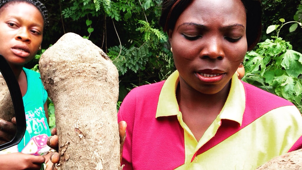 African Yams