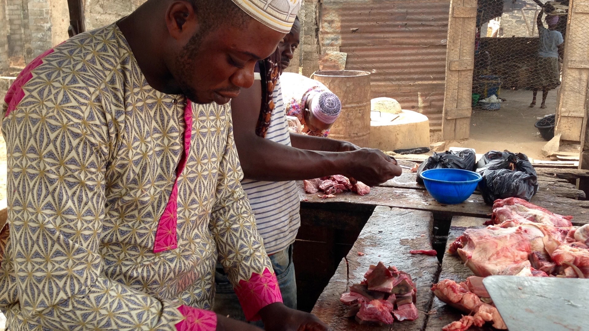 Kola Yellow Cattle Garden