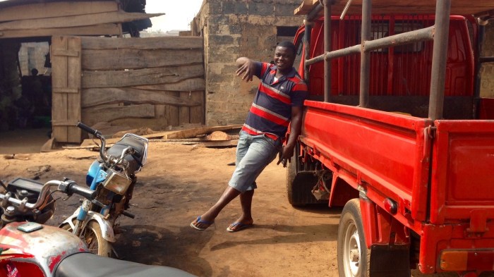 Kola Yellow Cattle Garden