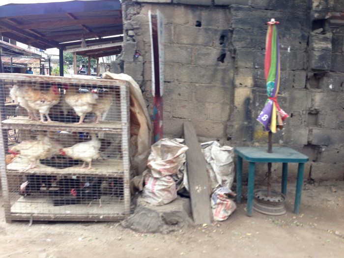 Chickens (Street Market Lagos)