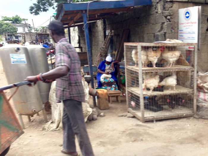 Chickens (Street Market Lagos)