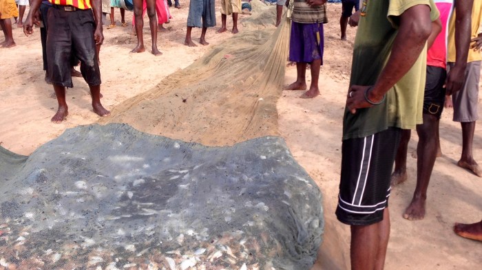 Seine Net Fishing in Kokrobite Beach, Ghana.