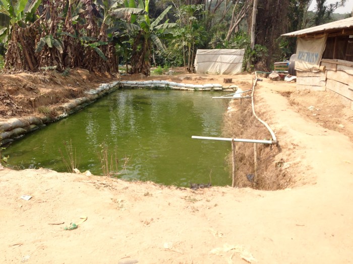 Fish Farm Community in Ijebu Imushin