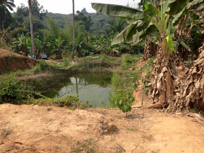 Sustainable Fish Farming Community in Ijebu Imushin Ogun State Nigeria