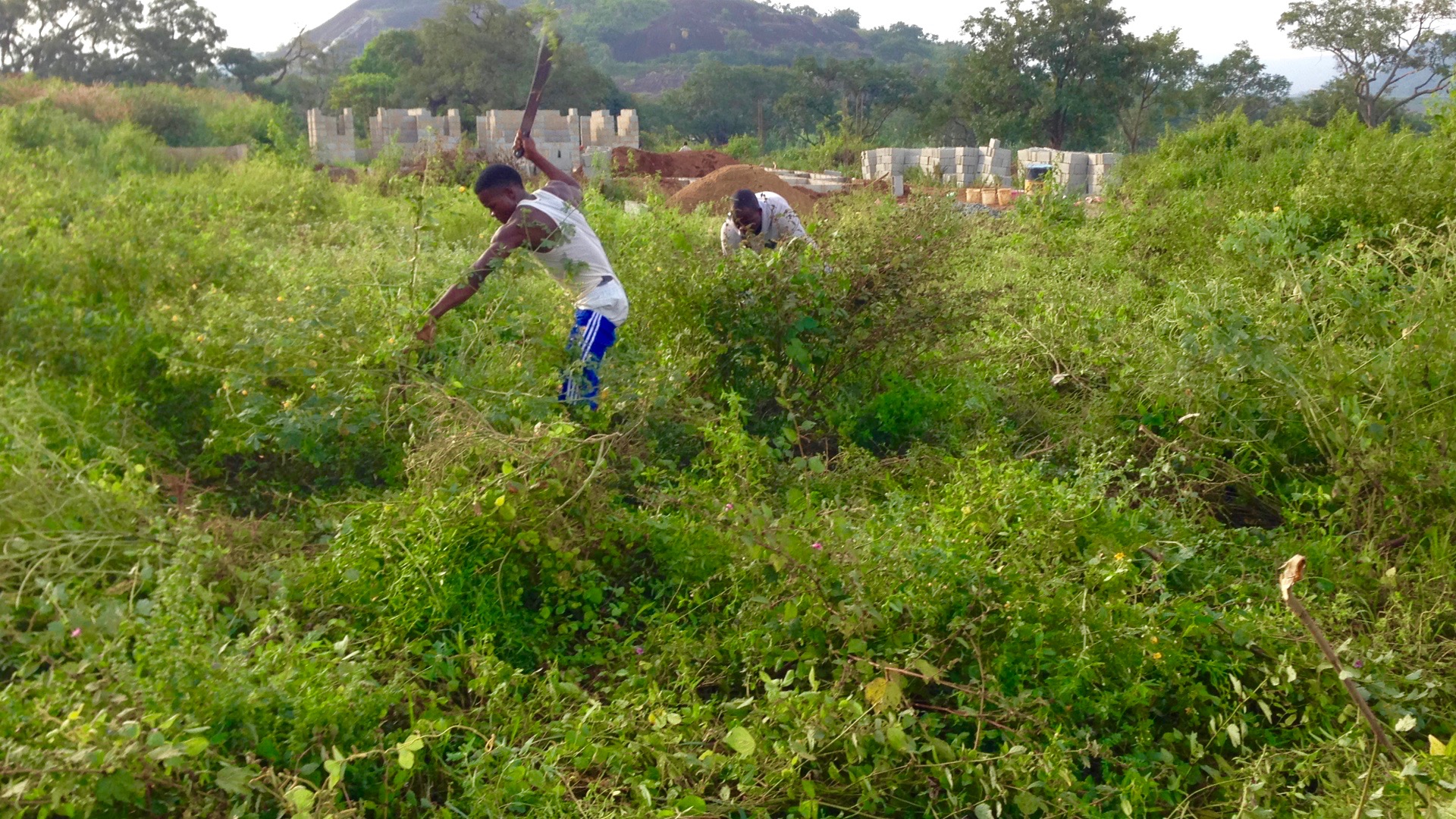 Clearing Grounds For Juju Films Studios and Home Office