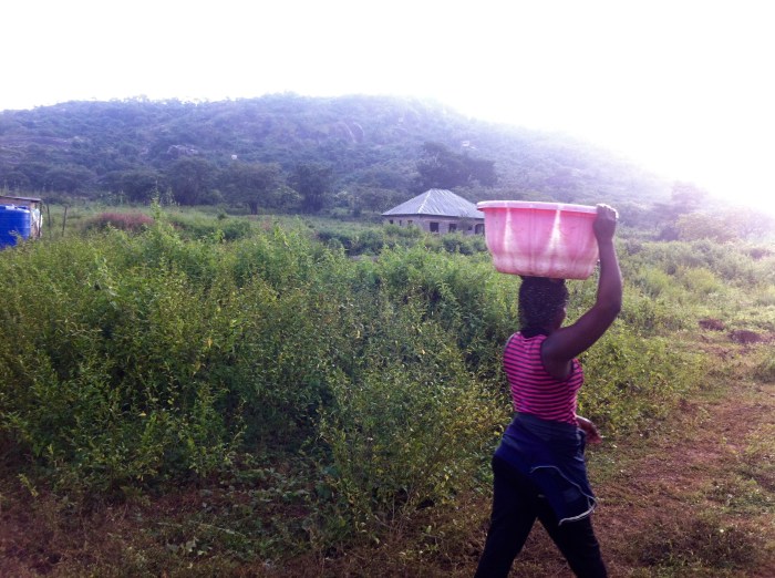 Juju Films Studios in Ushafa Village Nigeria