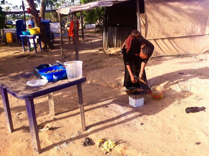 Grilling Grasshoppers in Ushafa Village, Nigeria