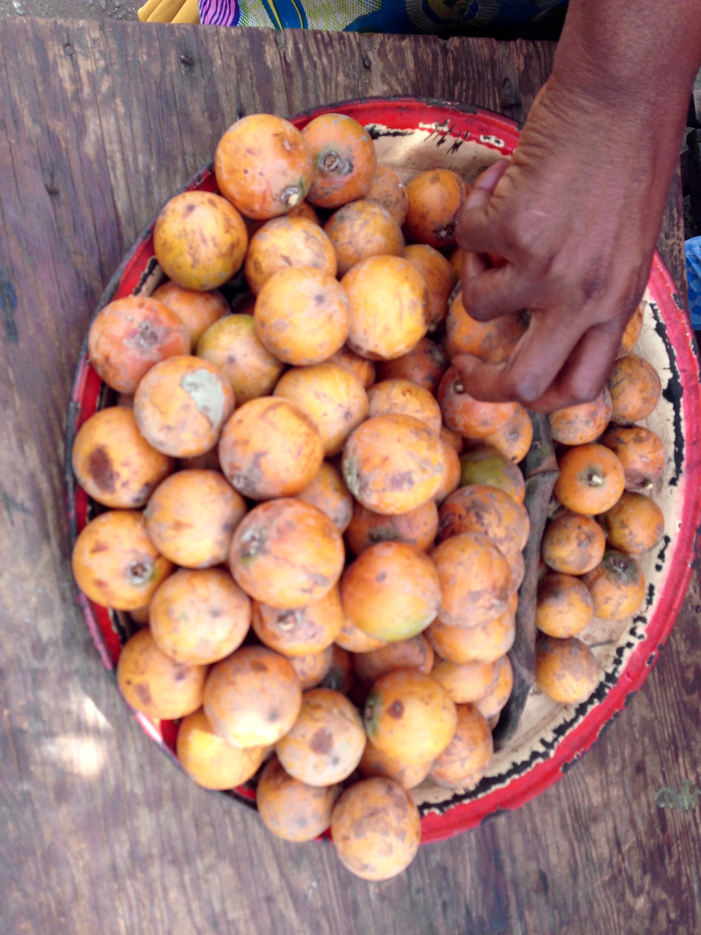 Agbalumo, African star apple, Atakumosa, Ilesa, Osun, Nigeria. #JujuFilms