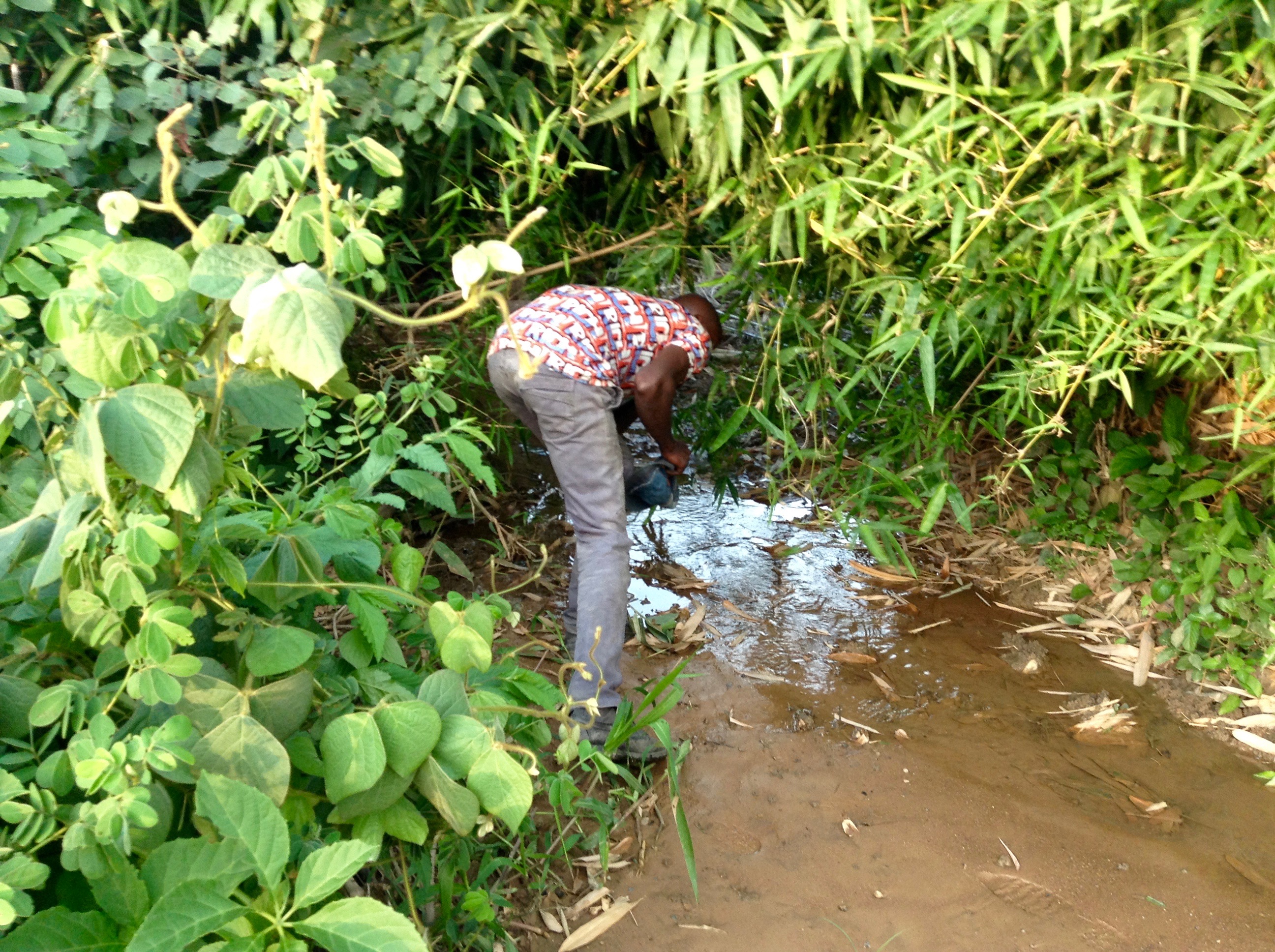 Drinking from a stream, Ushafa Village, Nigeria. #JujuFilms