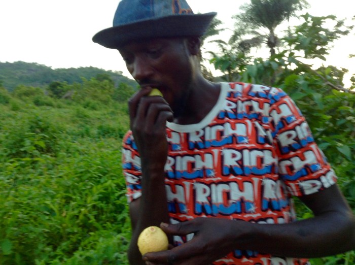 Picking and eating wild guava, Ushafa Village, Nigeria. #JujuFilms