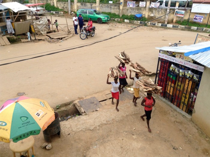 Women fetching firewood in Ushafa Village, Nigeria. #JujuFilms