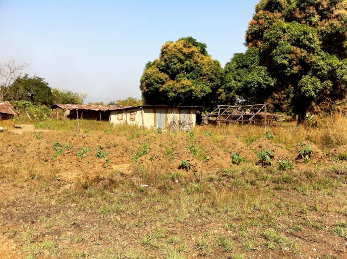 Igbira farming village, Kogi, Nigeria. #JujuFilms