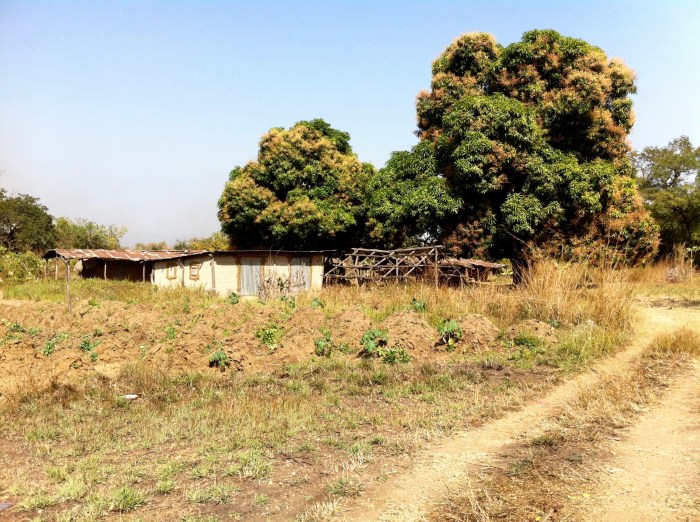 Igbira farming village, Kogi, Nigeria. #JujuFilms