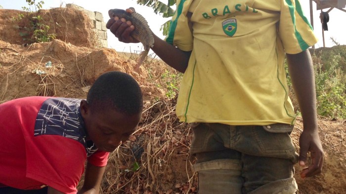 Here is fish the kids caught from that filthy creek.