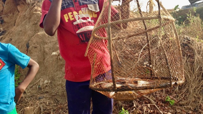 Here is fish the kids caught from that filthy creek.