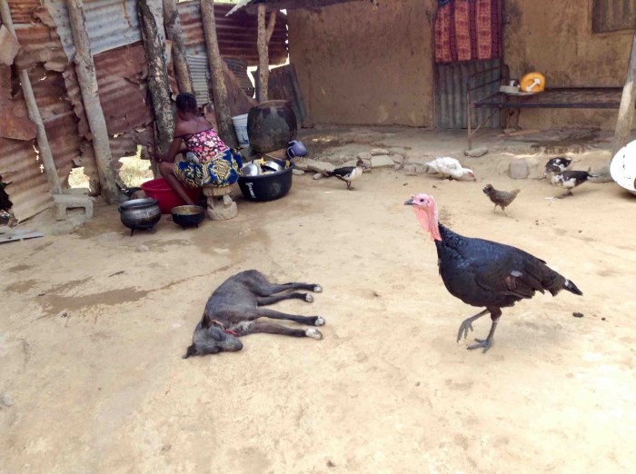 Langa Langa  Village, Nasarawa State, Nigeria. #JujuFilms