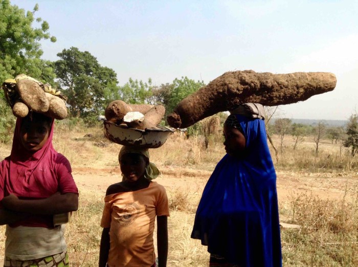 Fulani girls hawking African yams in Langa Langa Village, Nasarawa State, Nigeria. #JujuFilms