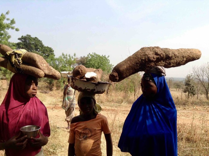 Fulani girls hawking African yams in Langa Langa Village, Nasarawa State, Nigeria. #JujuFilms