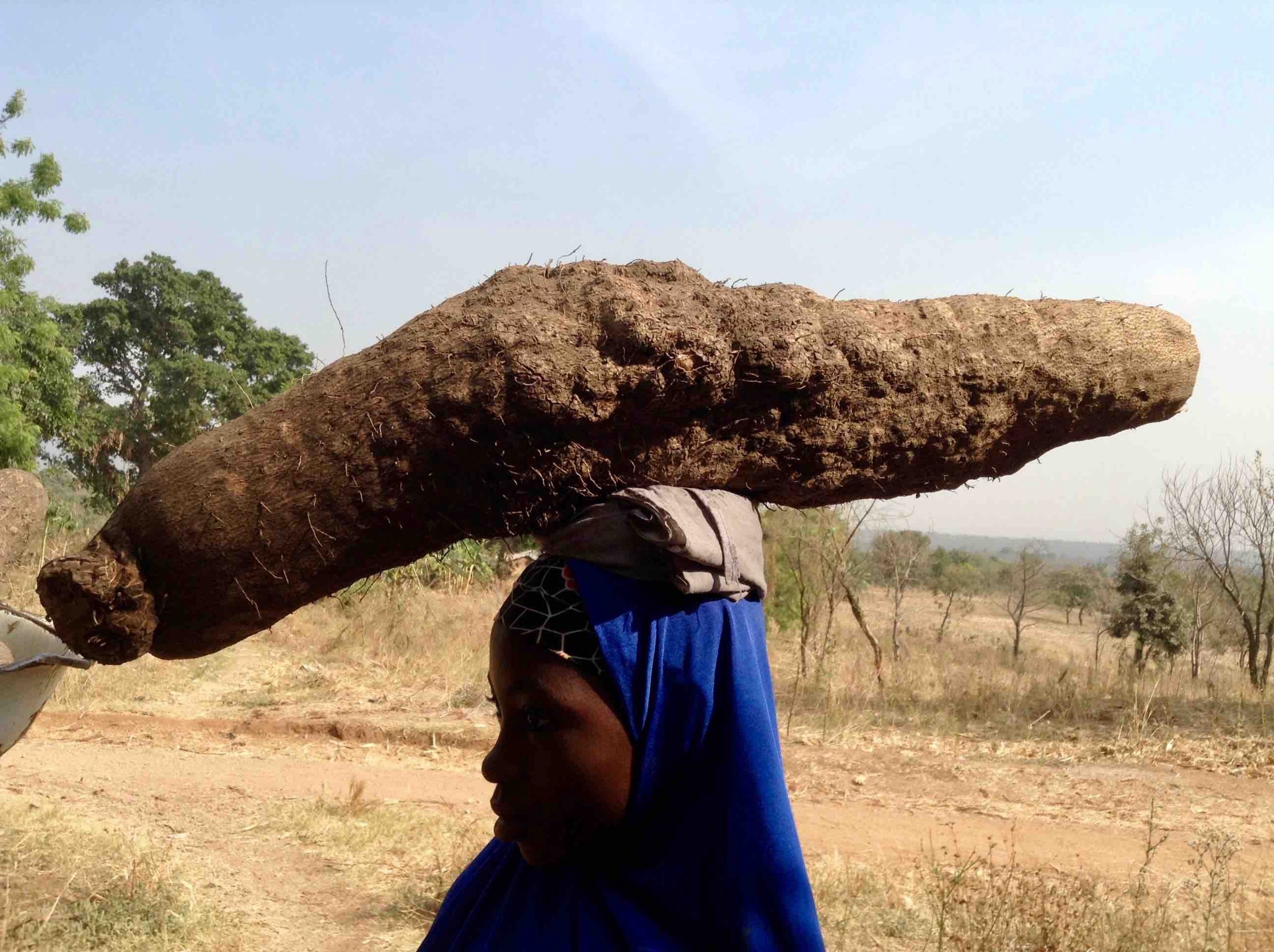 Fulani girls hawking African yams in Langa Langa Village, Nasarawa State, Nigeria. #JujuFilms