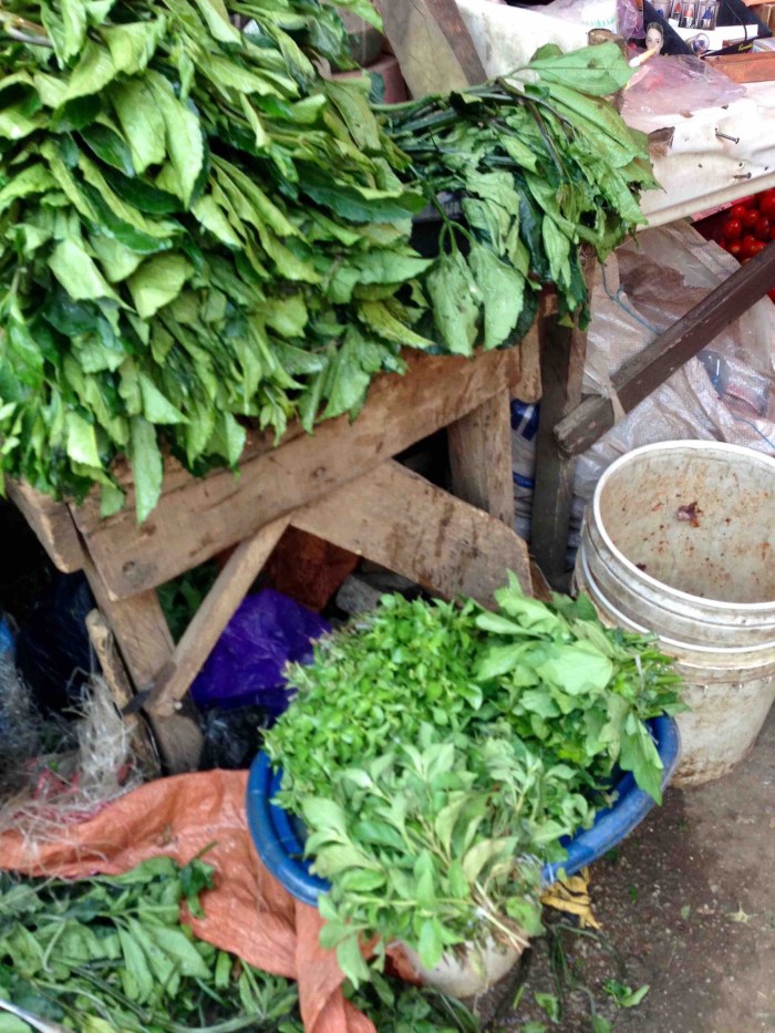 Scent leaf and Ugwu, Dutse Market, Dutse, Nigeria. #JujuFilms