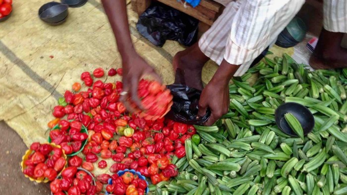 Tatashe peppers and okra, Dutse Market, Dutse, Nigeria #JujuFilms