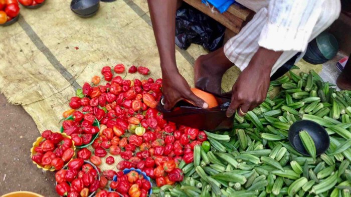 Tatashe peppers and okra, Dutse Market, Dutse, Nigeria #JujuFilms